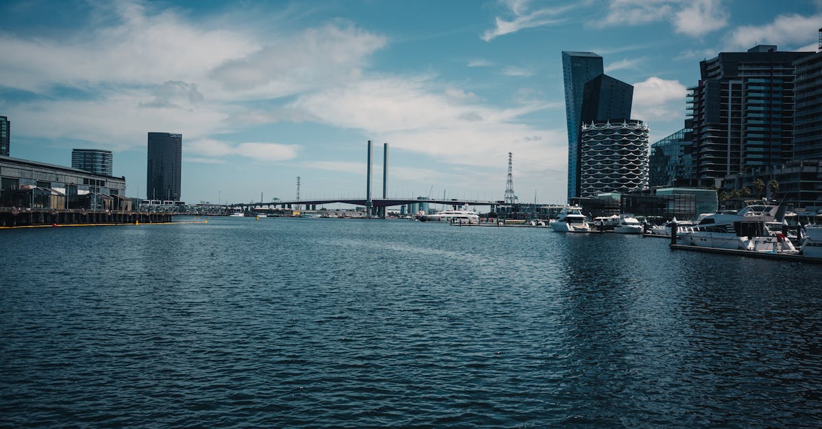 BBQ Safety Gear Every Renter Should Have