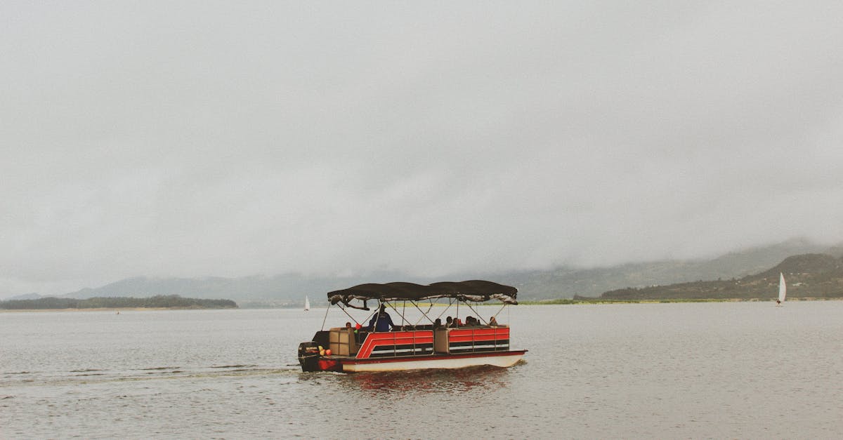 Best BBQ Spots Along the Maribyrnong River