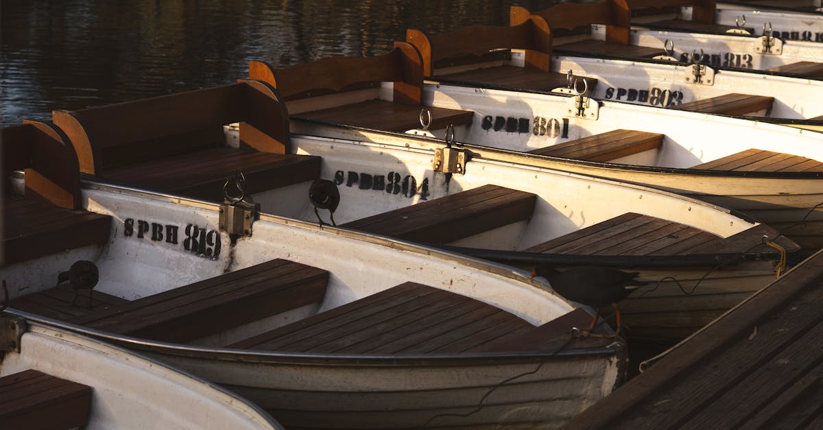 Essential Life Jacket Requirements for BBQ Pontoon Rentals