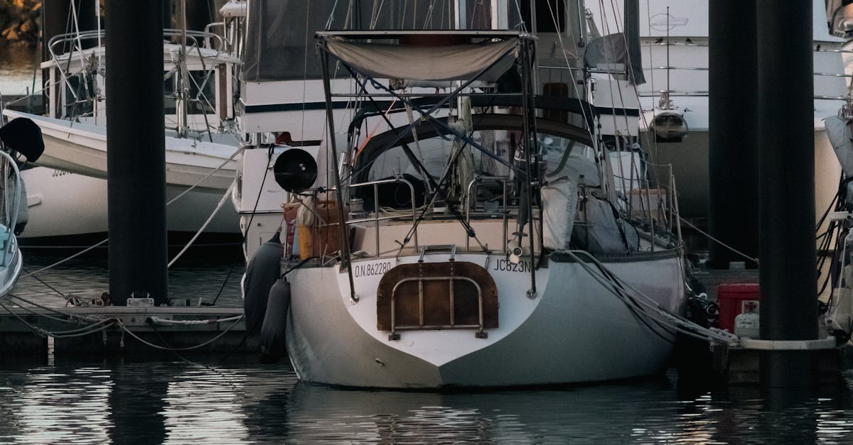 Feedback from Families: The Best BBQ Pontoon Boat Experiences