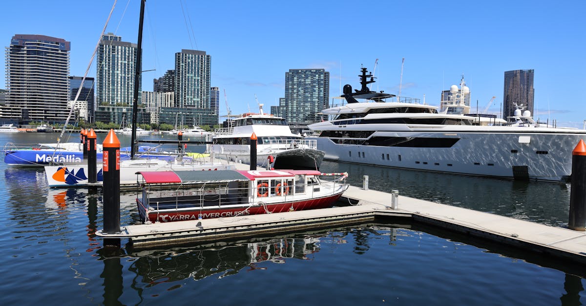 Guidelines for Docking BBQ Pontoon Boats Safely