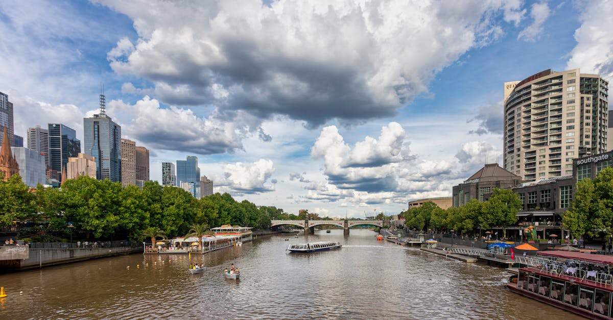 Pet-Friendly BBQ Pontoon Boats: Bringing Four-Legged Friends Along