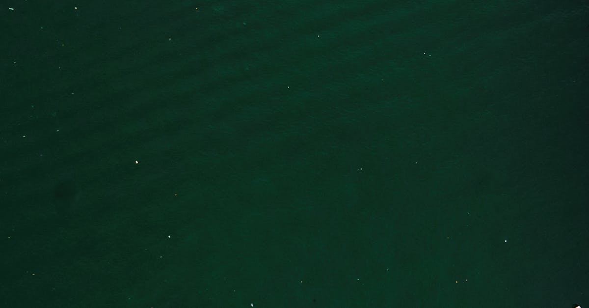 Portable Grill Options for Melbourne Pontoon Rentals