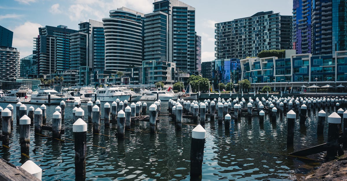 Tips for Finding Reliable BBQ Pontoon Boat Rental Companies