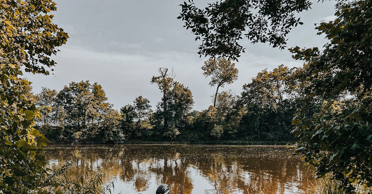 Top Nine Most Reliable BBQ Pontoon Boat Rental Services in Melbourne