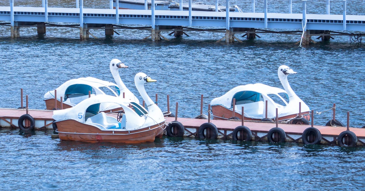 Understanding the Importance of Life Jackets on BBQ Pontoon Boats