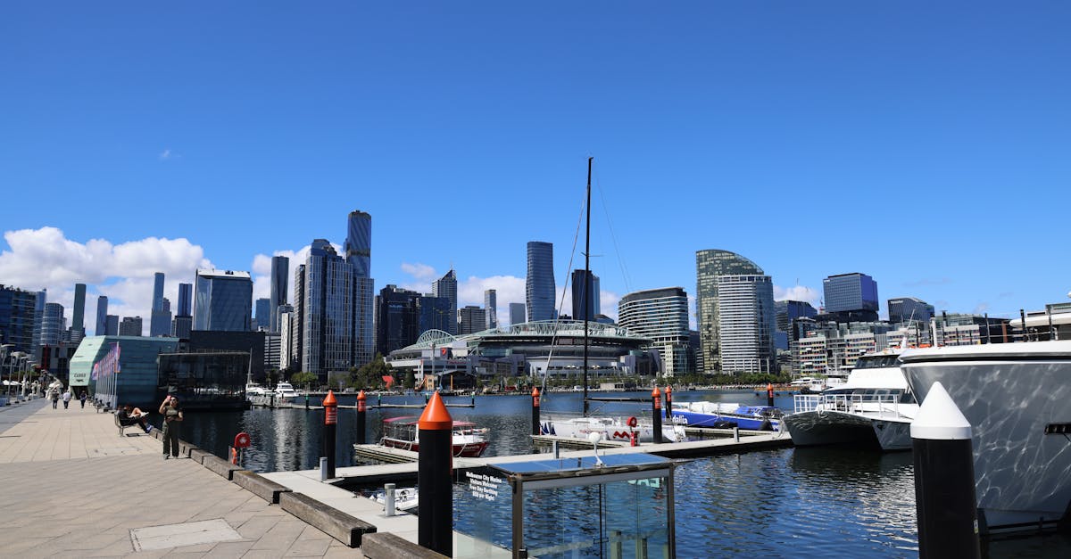 What Renters Are Saying About Melbourne's BBQ Pontoon Boat Offerings